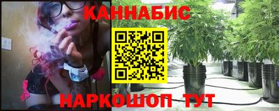 сатива Лесосибирск