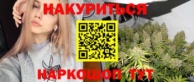 сатива Лесосибирск