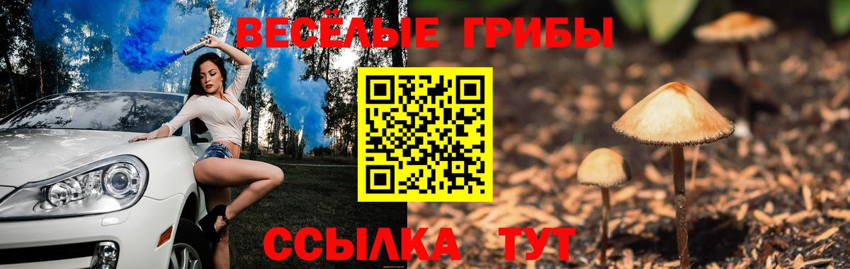 Удомля  наркотики  Вход с VPN  Галлюциногенные грибы Cubensis 