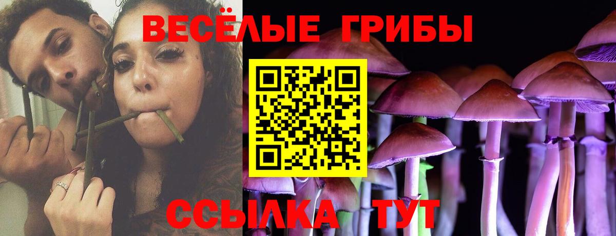Галлюциногенные грибы ЛСД Удомля